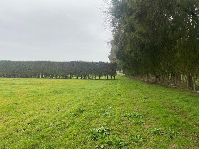 42 Taupaki Road, Taupaki - Carousel 2