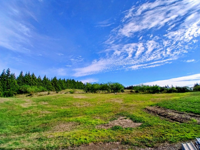 10 Miro Road, Glen Afton, Waikato, Waikato - Carousel 1
