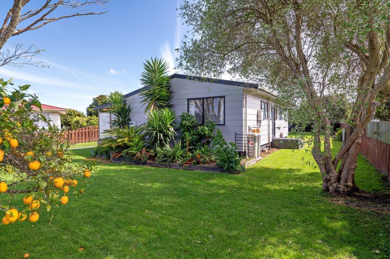 131 Bridge Street, Opotiki - Carousel 18