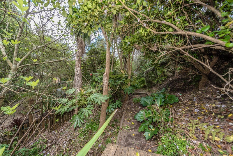 3 McConnell Lane, Chartwell, Hamilton - Carousel 19