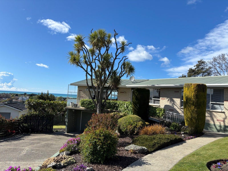 1 Ashburn Street, Oamaru North, Oamaru - Carousel 18