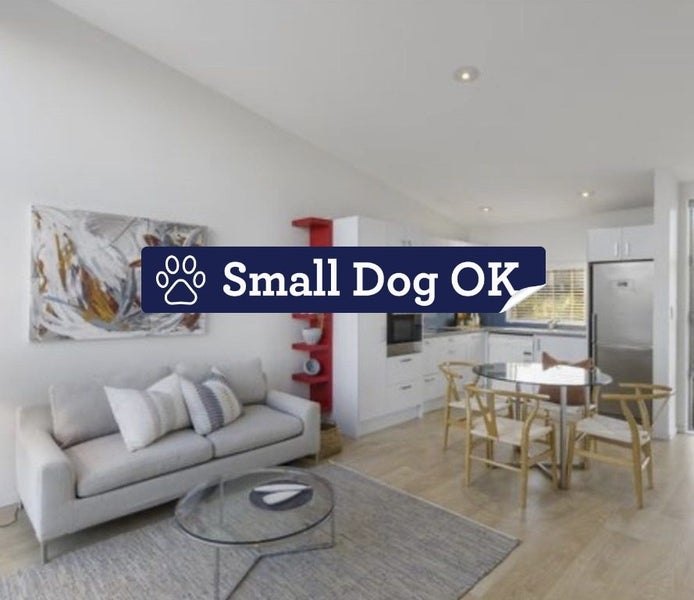 11H Gundry Street, Auckland Central, Auckland - Carousel 1