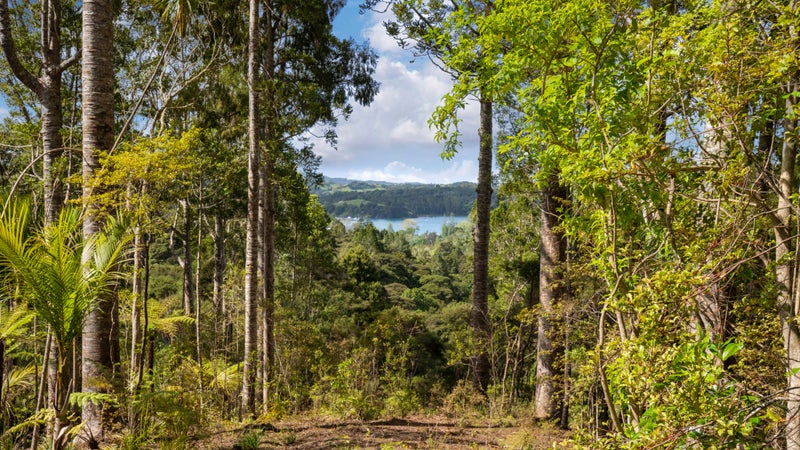 85 Brick Bay Drive, Sandspit, Warkworth - Carousel 2