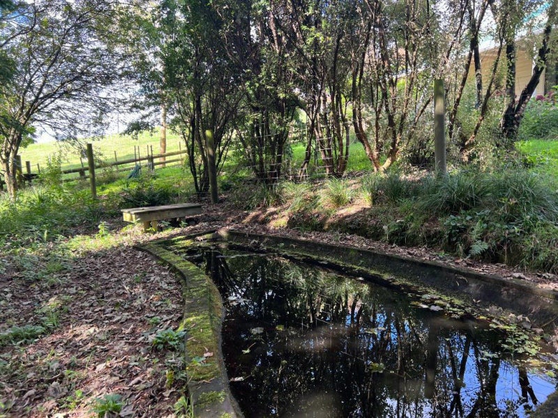 38 Beatty Road, Dannevirke - Carousel 43