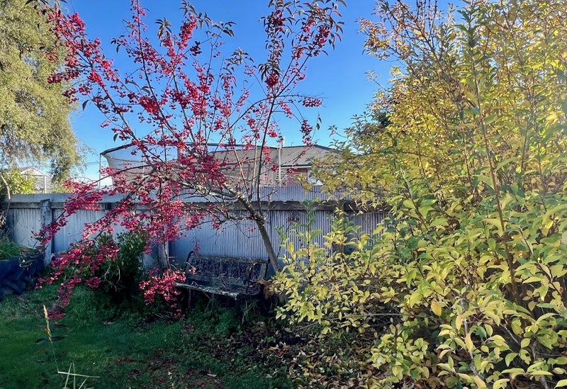 37 Hamilton Street, Temuka - Carousel 2