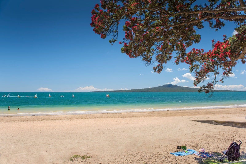 8A Wicklow Road, Narrow Neck, Auckland - Carousel 22