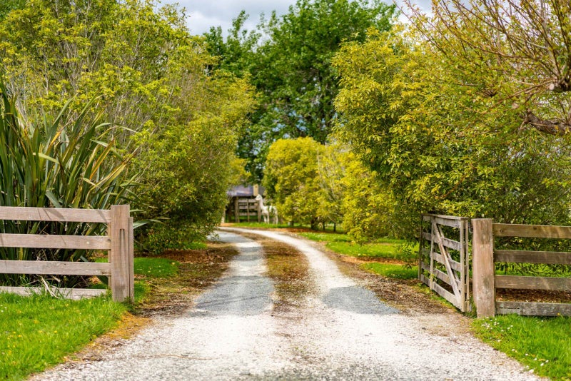 39A Cemetery Road, Te Arai, Wellsford - Carousel 28