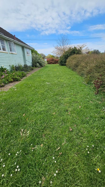 15 Walter Street, Takapau, Takapau - Carousel 9