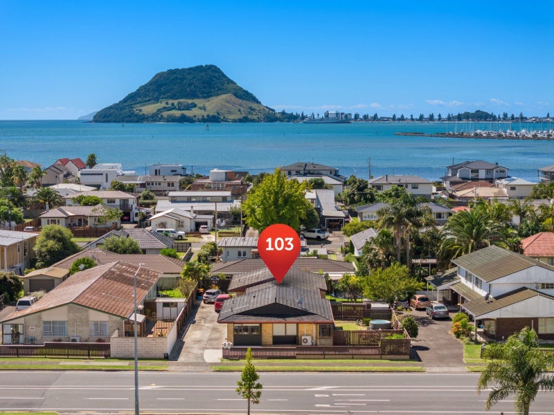 103 Chapel Street, Otumoetai, Tauranga - Carousel 1