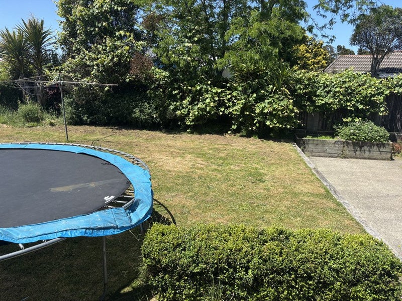 163 Grampian Street, Tokoroa - Carousel 16