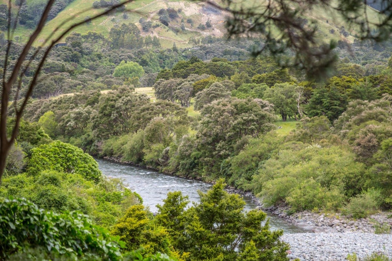 365 Upper Waingawa Road, Kaituna, Masterton - Carousel 17