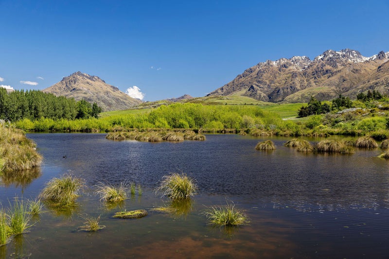 5 Casterway Crescent, Jacks Point, Queenstown - Carousel 12