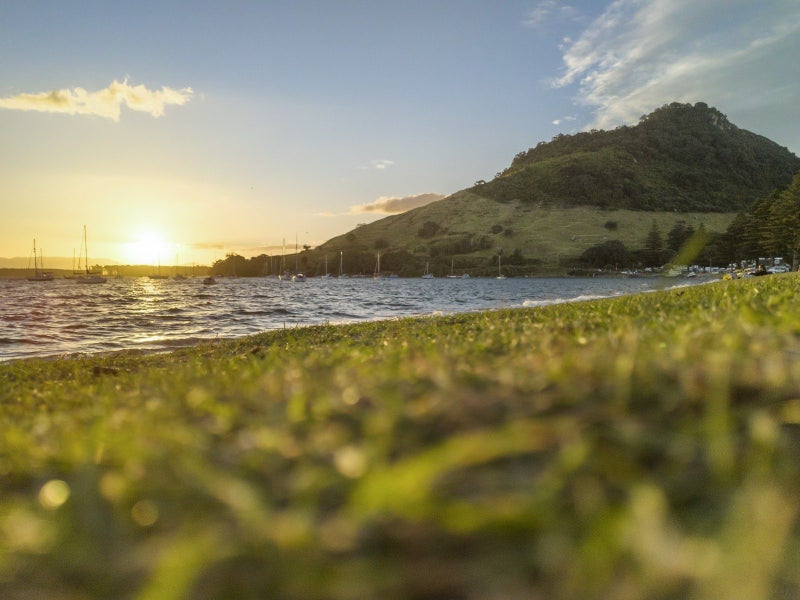 3A Grace Avenue, Mount Maunganui, Mount Maunganui - Carousel 36