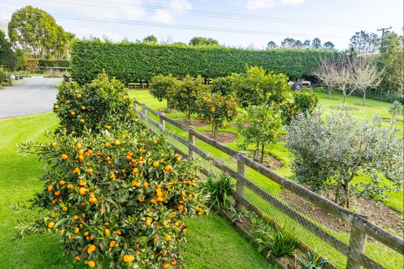 Property Valuation for 1226 Pipiwai Road, Ruatangata, Whangarei