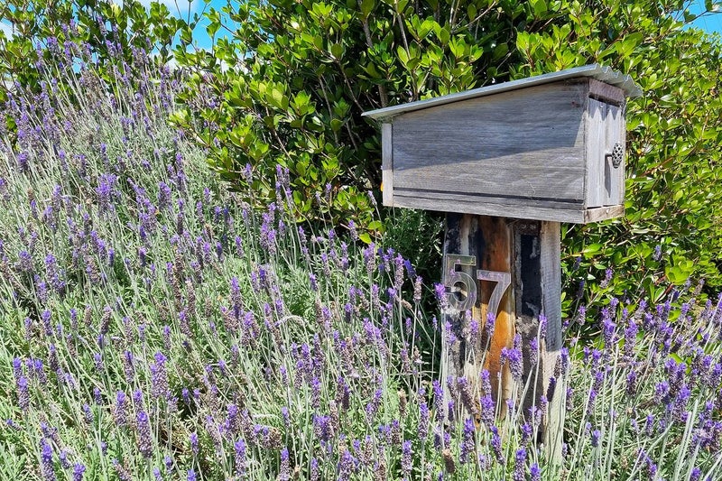 57 Hauraki Road, Warkworth - Carousel 27