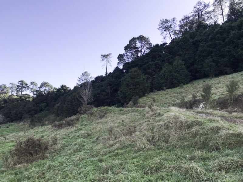 7743B State Highway 2, Paeroa - Carousel 47