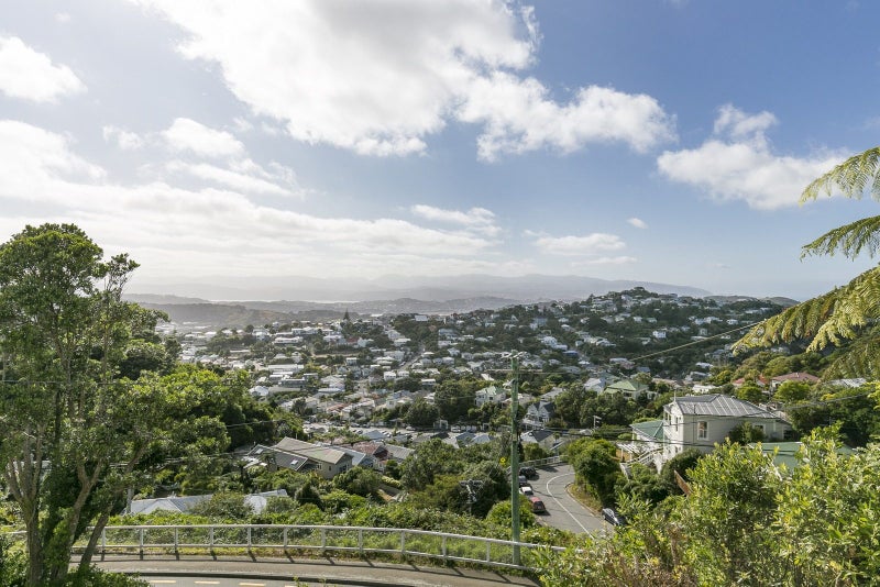 82 Mitchell Street, Brooklyn, Wellington - Carousel 2