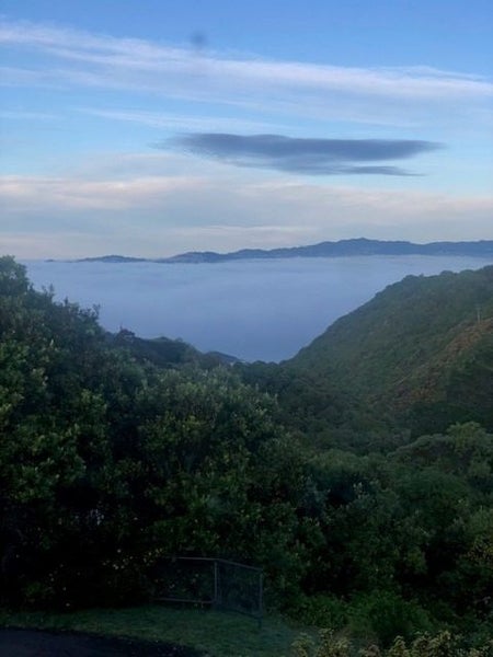 0 Korokoro Road, Korokoro, Lower Hutt - Carousel 12