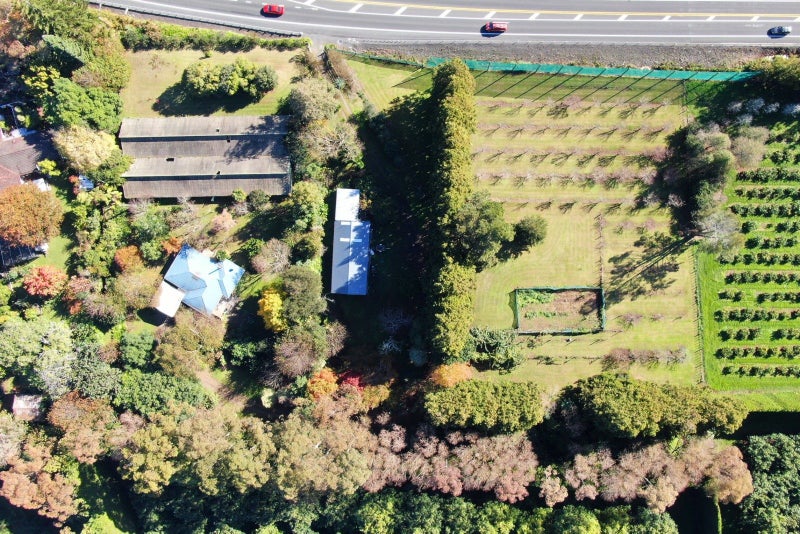 664 State Highway 2, Katikati, Western Bay Of Plenty, Bay Of Plenty - Carousel 31