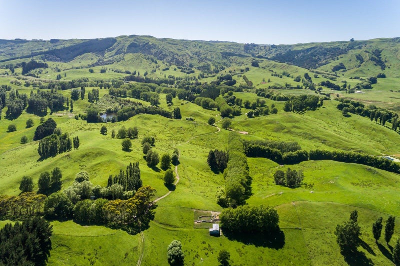 2412 Kahuranaki Road, Elsthorpe, Havelock North - Carousel 2