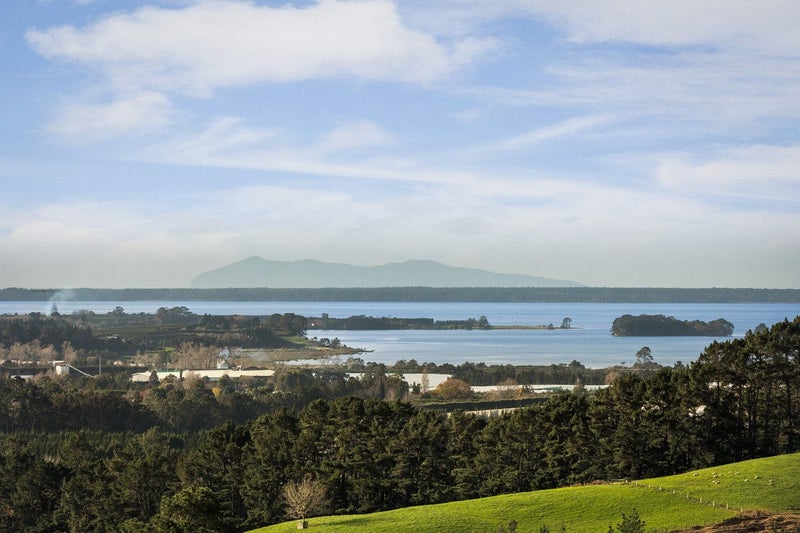 273A Lund Road, Katikati - Carousel 1