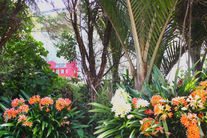 1 Pukeko Way, Whiritoa, Waihi - Carousel 25