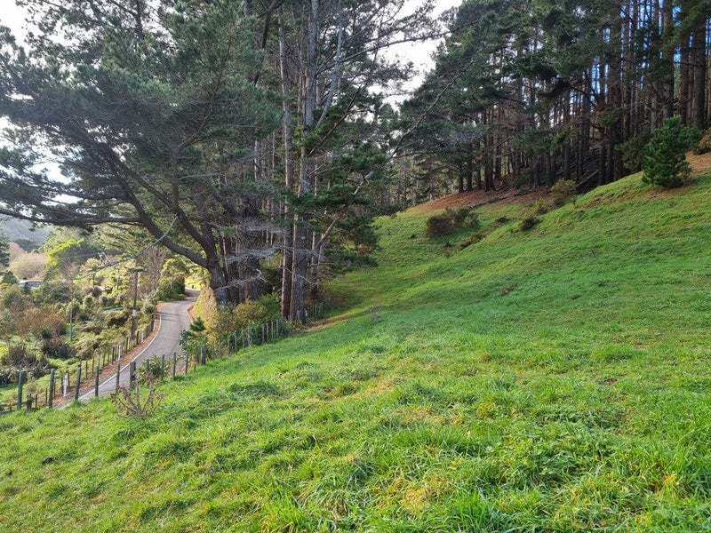 186 Stratton Street, Normandale, Lower Hutt - Carousel 11