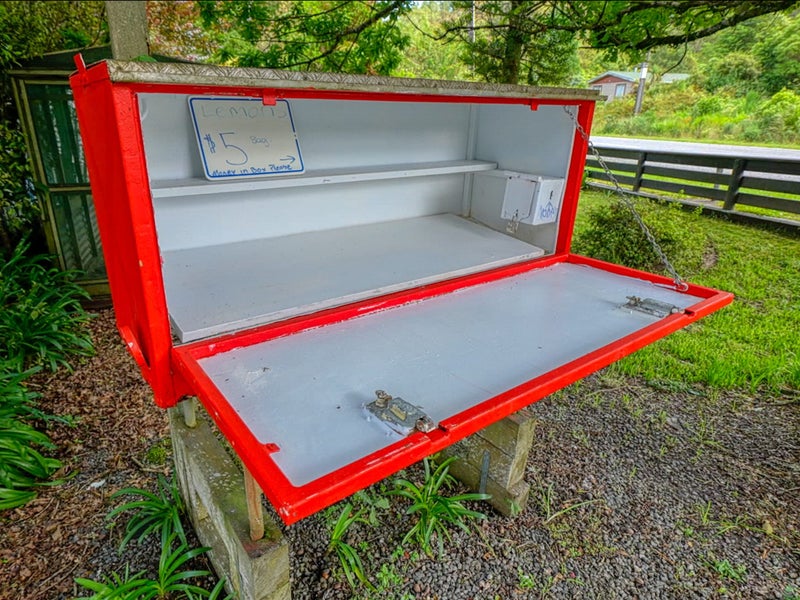 660 Taylorville Road, Taylorville, Greymouth - Carousel 34