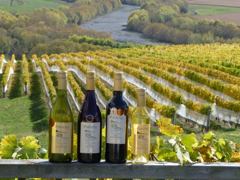 208 Pukeora Scenic Road, Waipukurau, Waipukurau - Carousel 1