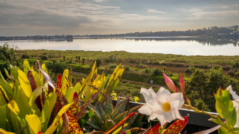 78 Esk Street, Parkvale, Tauranga - Carousel 2