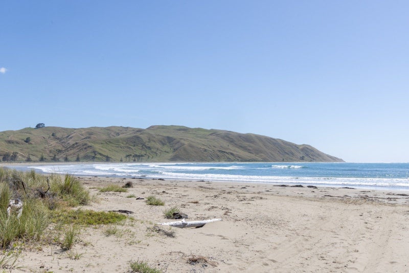 4A Shoal Beach Road, Aramoana, Omakere - Carousel 28