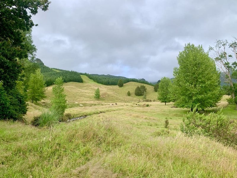 1819 Mataraua Road, Kaikohe, Far North, Northland - Carousel 34