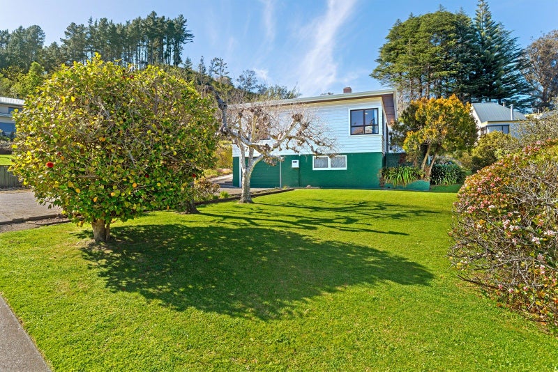 169 Ballance Street, Whataupoko, Gisborne - Carousel 24