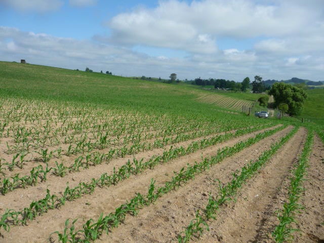 15 Arapuni Road, Arapuni, Putaruru - Carousel 2
