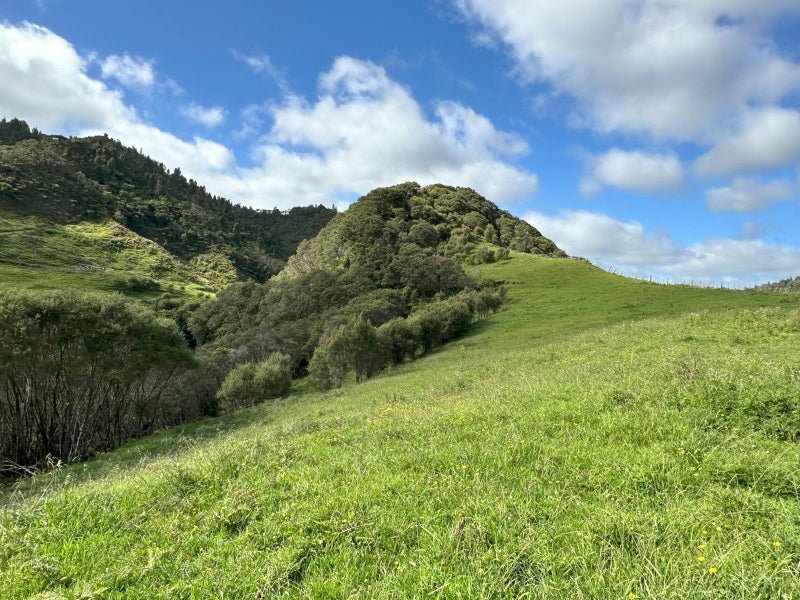 1045 Piko Road, Okoki, Urenui - Carousel 2