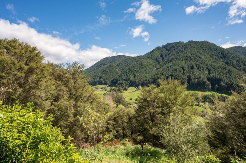 29 Macs Road, Hira, Nelson - Carousel 29