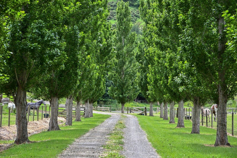 65B Ngakoroa Road, Ormond, Gisborne - Carousel 25