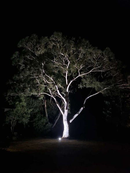 997 South Eyre Road, Swannanoa, Rangiora - Carousel 33