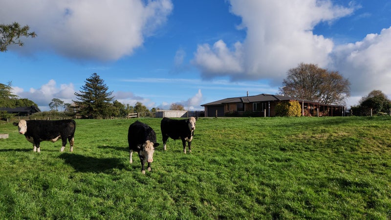 148 Flume Road, Te Miro - Carousel 1