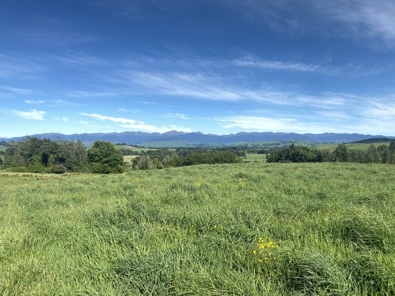 490 Bluff Rangitumau Road, Rangitumau, Masterton - Carousel 2