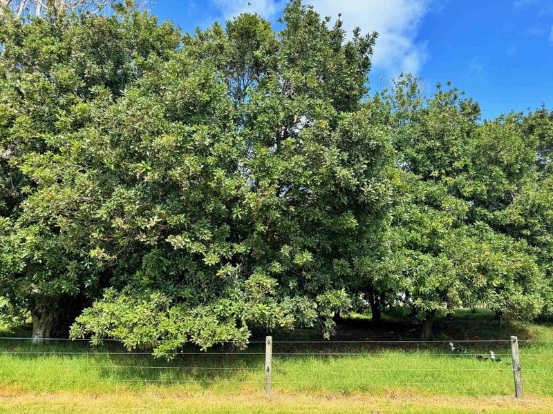 Property Valuation for 71 Hukatere Road, Houhora, Far North, Northland