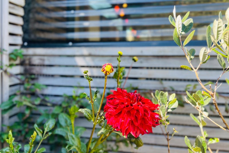 14 Goldie Place, Waikanae Beach, Waikanae - Carousel 38