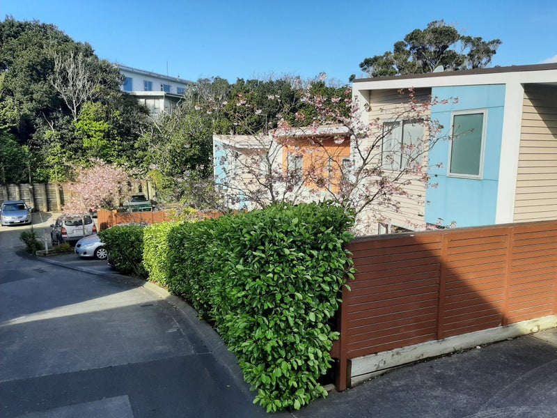 3/2 Chelmsford Street, Ngaio, Wellington - Carousel 1
