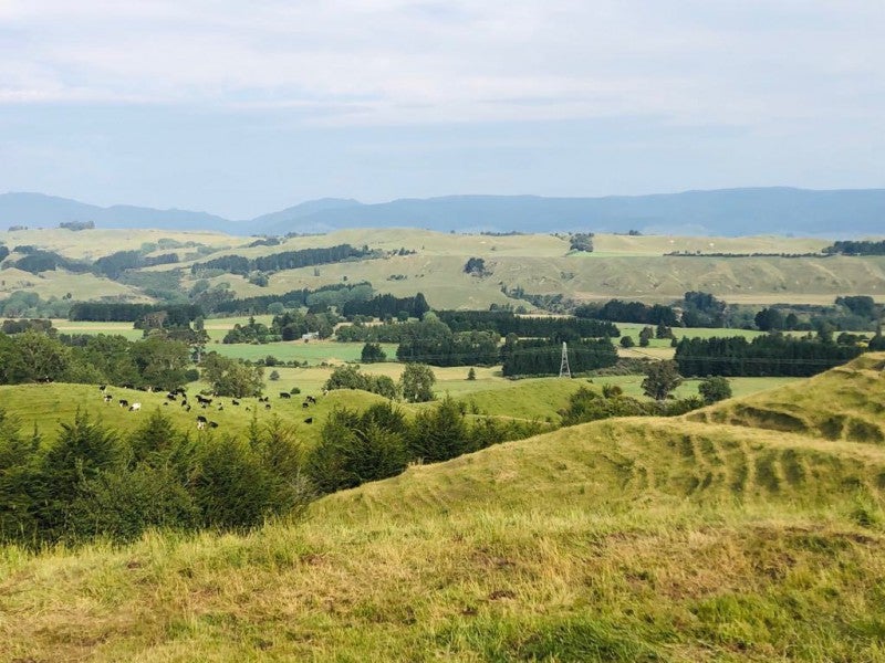 727 Oroua Valley Road, Apiti, Āpiti - Carousel 5