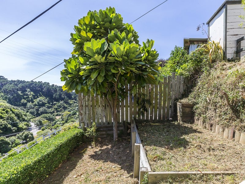 24 Mount Pleasant Road, Aro Valley, Wellington - Carousel 16