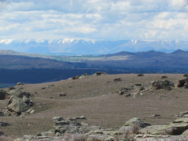 0 Tor Hill Road, Conroys Gully, Alexandra - Carousel 11