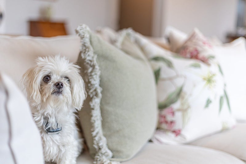 89A Beach Haven Road, Beach Haven, Auckland - Carousel 2