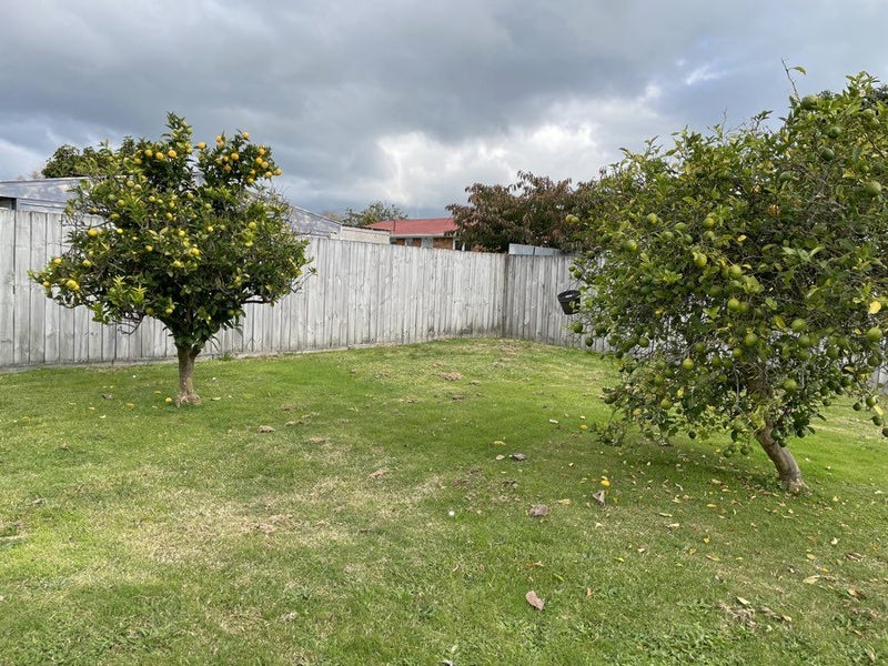 28 Lewis Street, Glenview, Hamilton - Carousel 17