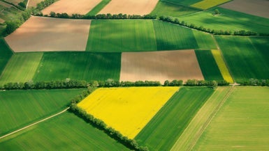 56A Needham Road, Drury - Carousel 1