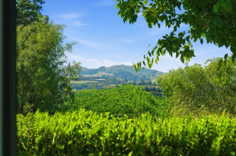 1 Hanlow Place, Pyes Pa, Tauranga - Carousel 2